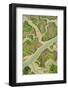 Aerial View of Marshes at Low Tide, Bahía De Cádiz Natural Park, Cádiz, Andalusia, Spain-López-Framed Photographic Print