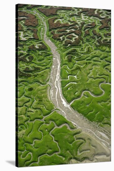 Aerial View of Marshes with Seaweed Exposed at Low Tide, Bahía De Cádiz Np, Andalusia, Spain-López-Stretched Canvas