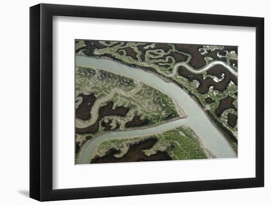 Aerial View of Marshes with Seaweed Exposed at Low Tide, Bahía De Cádiz Np, Andalusia, Spain-López-Framed Photographic Print