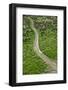 Aerial View of Marshes with Seaweed Exposed at Low Tide, Bahía De Cádiz Np, Andalusia, Spain-López-Framed Photographic Print