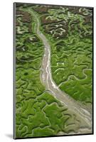 Aerial View of Marshes with Seaweed Exposed at Low Tide, Bahía De Cádiz Np, Andalusia, Spain-López-Mounted Photographic Print