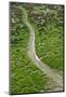 Aerial View of Marshes with Seaweed Exposed at Low Tide, Bahía De Cádiz Np, Andalusia, Spain-López-Mounted Photographic Print