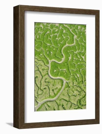 Aerial View of Marshes with Seaweed Exposed at Low Tide, Bahía De Cádiz Np, Andalusia, Spain-López-Framed Photographic Print