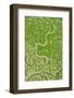 Aerial View of Marshes with Seaweed Exposed at Low Tide, Bahía De Cádiz Np, Andalusia, Spain-López-Framed Photographic Print