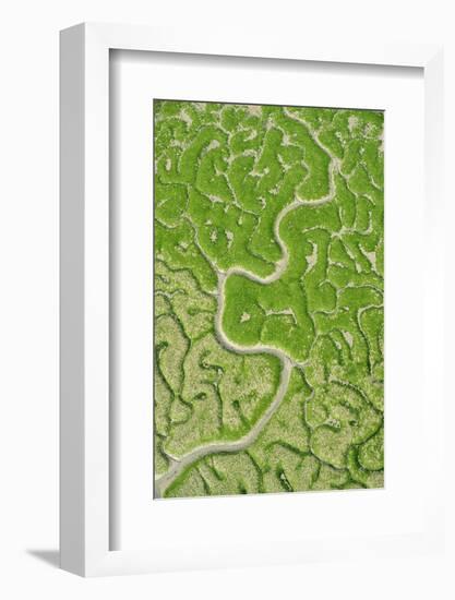 Aerial View of Marshes with Seaweed Exposed at Low Tide, Bahía De Cádiz Np, Andalusia, Spain-López-Framed Photographic Print