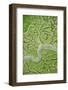 Aerial View of Marshes with Seaweed Exposed at Low Tide, Bahía De Cádiz Np, Andalusia, Spain-López-Framed Photographic Print