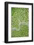 Aerial View of Marshes with Seaweed Exposed at Low Tide, Bahía De Cádiz Np, Andalusia, Spain-López-Framed Photographic Print