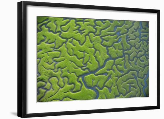 Aerial View of Marshes with Seaweed Exposed at Low Tide, Bahía De Cádiz Np,-López-Framed Photographic Print