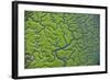 Aerial View of Marshes with Seaweed Exposed at Low Tide, Bahía De Cádiz Np,-López-Framed Photographic Print