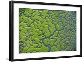 Aerial View of Marshes with Seaweed Exposed at Low Tide, Bahía De Cádiz Np,-López-Framed Photographic Print