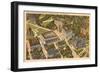 Aerial View of Mellon Institute, Pittsburgh, Pennsylvania-null-Framed Art Print