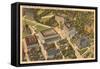 Aerial View of Mellon Institute, Pittsburgh, Pennsylvania-null-Framed Stretched Canvas
