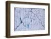 Aerial view of meltwater channels in ice cap north-east of Sermeq Kujalleq Glacier, Greenland-Michel Roggo-Framed Photographic Print