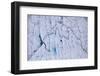 Aerial view of meltwater channels in ice cap north-east of Sermeq Kujalleq Glacier, Greenland-Michel Roggo-Framed Photographic Print