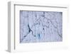 Aerial view of meltwater channels in ice cap north-east of Sermeq Kujalleq Glacier, Greenland-Michel Roggo-Framed Photographic Print