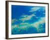 Aerial View of Moore Reef, The Great Barrier Reef, Cairns Area, North Coast, Queensland-Walter Bibikow-Framed Photographic Print