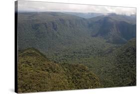 Aerial View of Mountainous Rainforest in Guyana, South America-Mick Baines & Maren Reichelt-Stretched Canvas