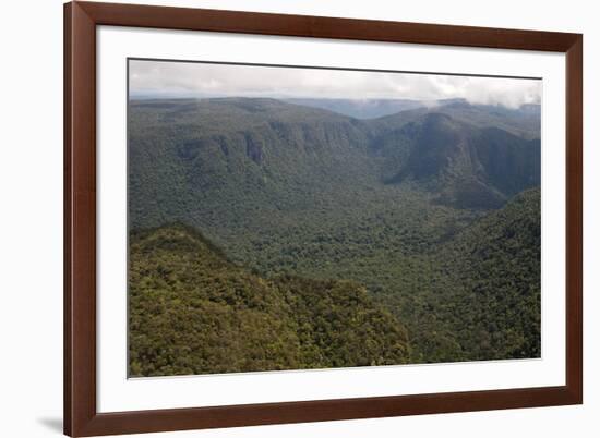 Aerial View of Mountainous Rainforest in Guyana, South America-Mick Baines & Maren Reichelt-Framed Photographic Print