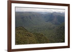 Aerial View of Mountainous Rainforest in Guyana, South America-Mick Baines & Maren Reichelt-Framed Photographic Print