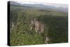 Aerial View of Mountainous Rainforest in Guyana, South America-Mick Baines & Maren Reichelt-Stretched Canvas