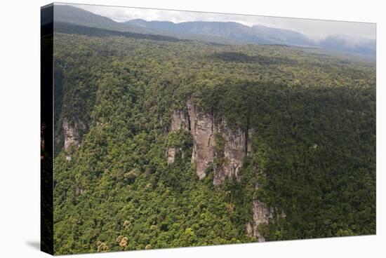 Aerial View of Mountainous Rainforest in Guyana, South America-Mick Baines & Maren Reichelt-Stretched Canvas