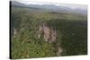 Aerial View of Mountainous Rainforest in Guyana, South America-Mick Baines & Maren Reichelt-Stretched Canvas