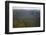 Aerial View of Mountainous Rainforest in Guyana, South America-Mick Baines & Maren Reichelt-Framed Photographic Print