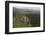 Aerial View of Mountainous Rainforest in Guyana, South America-Mick Baines & Maren Reichelt-Framed Photographic Print