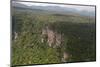 Aerial View of Mountainous Rainforest in Guyana, South America-Mick Baines & Maren Reichelt-Mounted Photographic Print