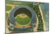 Aerial View of Municipal Stadium - Cleveland, OH-Lantern Press-Mounted Art Print