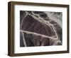 Aerial View of Nazca Lines (Photography, 1983)-Prehistoric Prehistoric-Framed Giclee Print