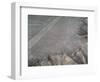 Aerial View of Nazca Lines (Photography, 1983)-Prehistoric Prehistoric-Framed Giclee Print