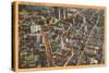 Aerial View of Newark, New Jersey-null-Stretched Canvas