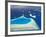 Aerial View of North Male Atoll, Maldives, Indian Ocean-Papadopoulos Sakis-Framed Photographic Print