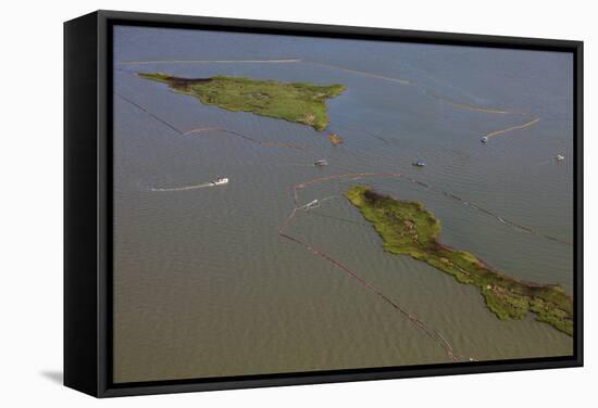 Aerial View of Oiled Bird Nesting Colonies in Barataria Bay Area of the Mississippi River Delta-Gerrit Vyn-Framed Stretched Canvas