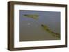 Aerial View of Oiled Bird Nesting Colonies in Barataria Bay Area of the Mississippi River Delta-Gerrit Vyn-Framed Photographic Print