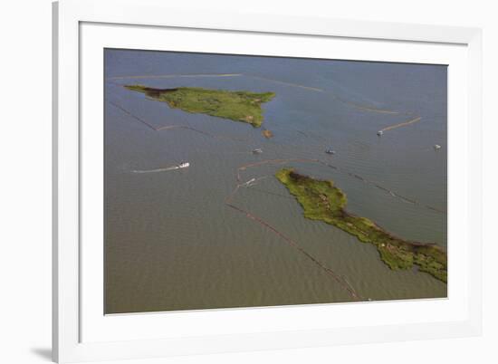 Aerial View of Oiled Bird Nesting Colonies in Barataria Bay Area of the Mississippi River Delta-Gerrit Vyn-Framed Photographic Print