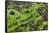 Aerial view of Ojai Valley Inn Country Club Golf Course in Ventura County, Ojai, California-null-Framed Stretched Canvas