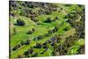 Aerial view of Ojai Valley Inn Country Club Golf Course in Ventura County, Ojai, California-null-Stretched Canvas