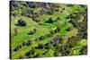 Aerial view of Ojai Valley Inn Country Club Golf Course in Ventura County, Ojai, California-null-Stretched Canvas