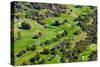 Aerial view of Ojai Valley Inn Country Club Golf Course in Ventura County, Ojai, California-null-Stretched Canvas