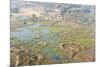 Aerial View of Okavango Delta, Botswana, Africa-Sergio Pitamitz-Mounted Photographic Print