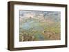 Aerial View of Okavango Delta, Botswana, Africa-Sergio Pitamitz-Framed Photographic Print