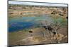 Aerial View of Okavango Delta, Botswana, Africa-Sergio-Mounted Photographic Print