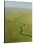 Aerial View of Okavango Delta-Michele Westmorland-Stretched Canvas