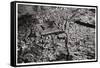 Aerial View of Old Cairo, Egypt, from a Zeppelin, 1931-null-Framed Stretched Canvas