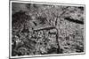 Aerial View of Old Cairo, Egypt, from a Zeppelin, 1931-null-Mounted Giclee Print