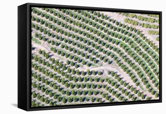 Aerial View of Orange Grove in Ventura County, Ojai, California-Joseph Sohm-Framed Stretched Canvas