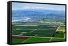 Aerial view of Oxnard farm fields in spring with Ventura City and Pacific Ocean in background, V...-null-Framed Stretched Canvas