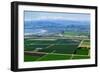 Aerial view of Oxnard farm fields in spring with Ventura City and Pacific Ocean in background, V...-null-Framed Photographic Print